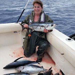 Meet your Posher, Patty